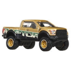 Hot Wheels Collector Veículo de Brinquedo 17 Ford F150 Raptor