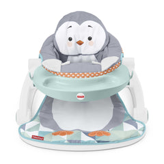 Fisher-Price® Siège Jeu et Confort Avec Plateau de Jeu