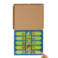 Hot Wheels Skate-Assortiment de 10Fingerboards Avec Chaussures